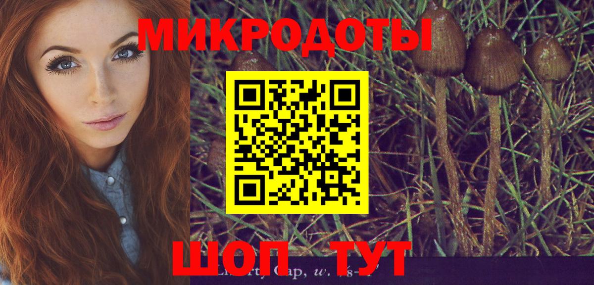 Галлюциногенные грибы мицелий Ставрополь
