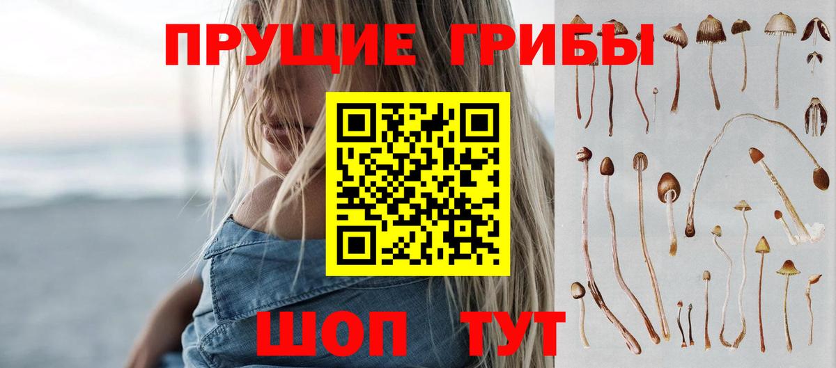 Псилоцибиновые грибы Magic Shrooms  Вход с VPN  Ставрополь 