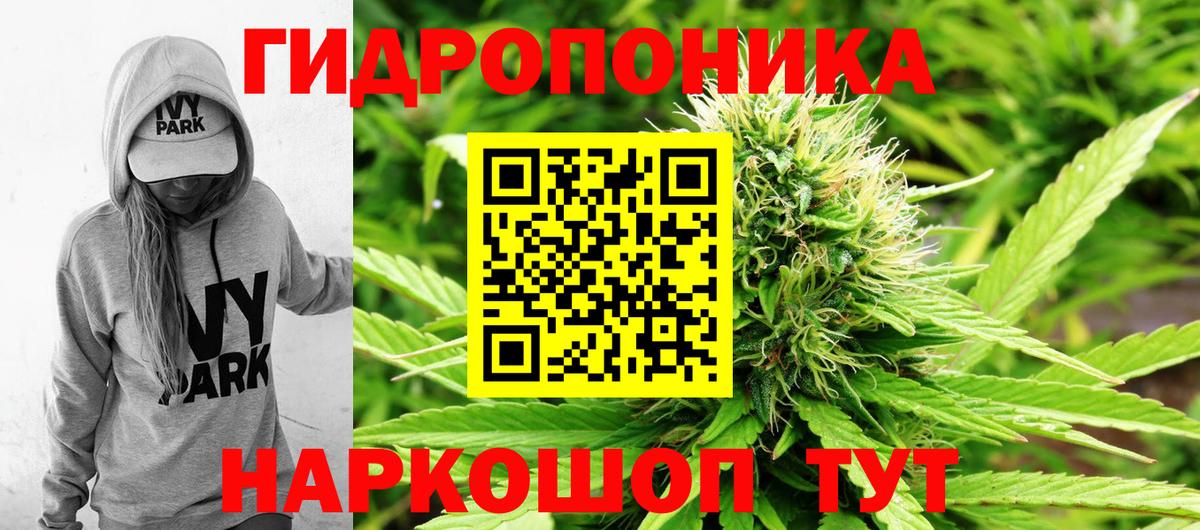 Конопля MAZAR  МАРИХУАНА сатива  Шишки марихуана Amnesia  Ставрополь  Вход с VPN  МАРИХУАНА тримм 